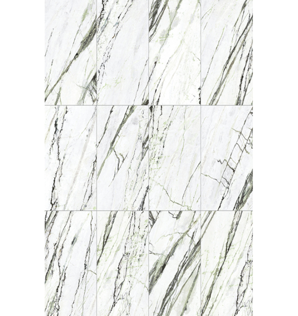 Panel Microcosmi Calacatta Green 60x120 matt