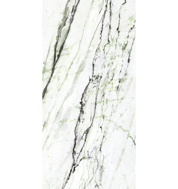Panel Microcosmi Calacatta Green 60x120 polished