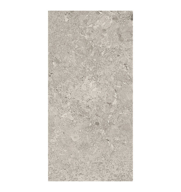 Piastrella Ceppo Stone05 30x60 matt