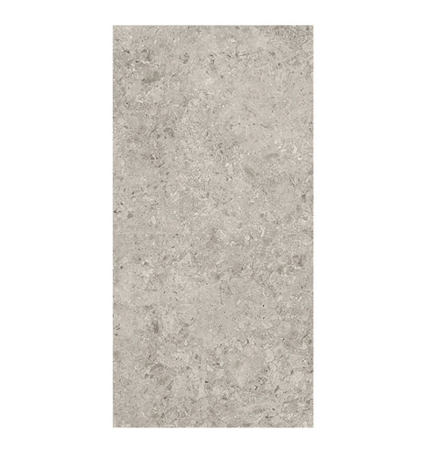 Piastrella Ceppo Stone05 60x120 matt